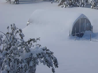 riga greenhouse in the snow