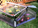 Poly-Tex Double Cold Frame